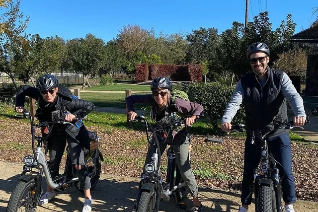 Napa E-Bike Rental Full Day - Image 6