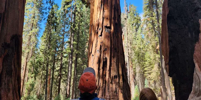 Sequoia National Park Private Guided Hiking Tour - Image 5
