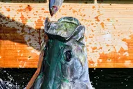 Ft Lauderdale Islamorada Tour with Boat Ride and Lunch thumbnail 3