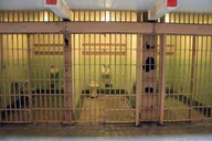 San Francisco Alcatraz Prison and Bay Cruise thumbnail 4