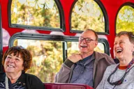 Anchorage Trolley Tour 1 hr thumbnail 3