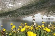 Denver Mount Evans Scenic Byway Tour thumbnail 3