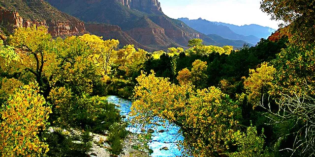 Las Vegas Bryce Canyon and Zion National Park Tour - Image 6