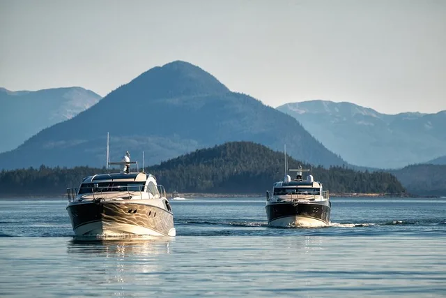 Private Whale Watch in Your Own Yacht 4 hr - Image 6