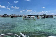 Destin Pontoon Tour to Crab Island with Captain thumbnail 5