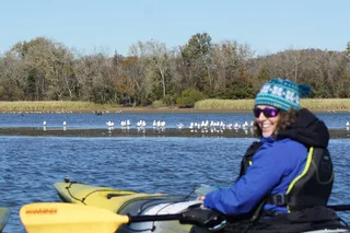 Chattanooga Sandhill Crane Kayak Tour