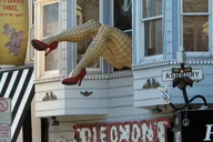 San Francisco Haight-Ashbury Walking Tour thumbnail 1