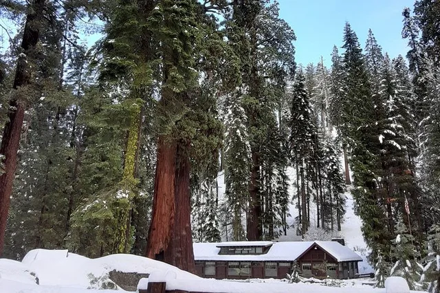 Sequoia National Park Snowshoe Adventure - Image 3
