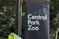 New York Central Park Zoo Ticket thumbnail 1