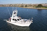 San Diego Whale Watching Tour thumbnail 3