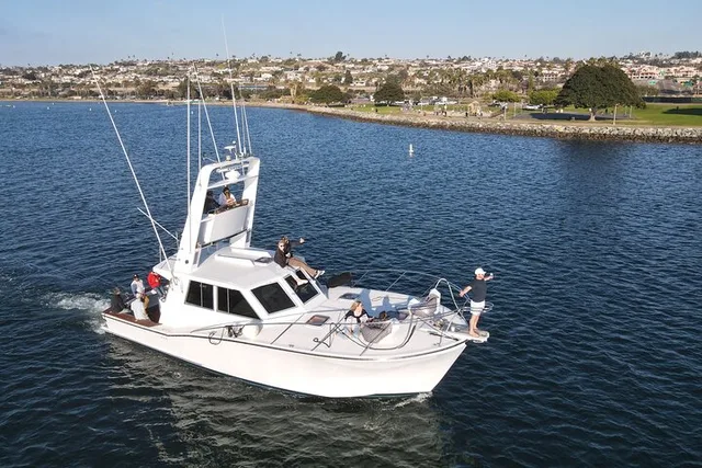 San Diego Whale Watching Tour - Image 3