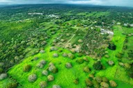Kailua-Kona Helicopter Tour Doors-Off 30 Min thumbnail 5