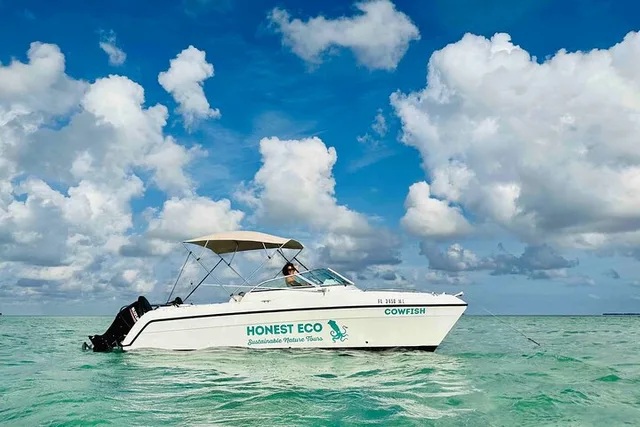 Key West Sandbar and Snorkeling Charter - Image 6