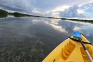 Key West Mangrove Kayak or SUP Eco Tour 2 hr thumbnail 2
