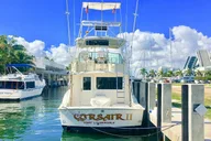 Key West Deep Sea Fishing Adventure thumbnail 2