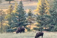 Denver Mountain Tour with Sunset Views thumbnail 4