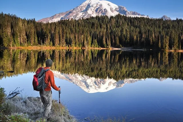 Seattle Mount Rainier National Park Private Tour - Image 4