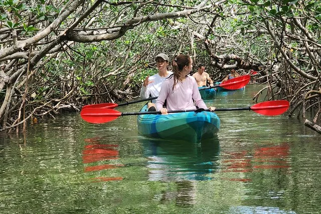 Florida Keys Kayak Tour in Mangrove Forests 3 hr - Image 4