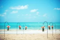 Honolulu Beach Wedding and Photo Session thumbnail 4