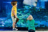 Orlando Madame Tussauds and SEA LIFE Combo Ticket thumbnail 2