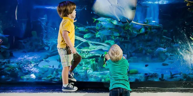 Orlando Madame Tussauds and SEA LIFE Combo Ticket - Image 2