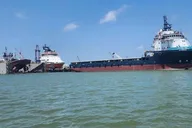 Galveston Dolphin Watching Boat Tour thumbnail 5