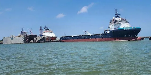 Galveston Dolphin Watching Boat Tour - Image 5