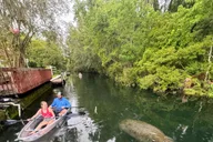 Crystal River Clear Kayak Sunset and Night Glow Tour thumbnail 4