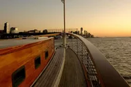 New York Urban Wildlife Sunset Boat Tour thumbnail 5