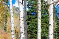 Denver Hiking Tour in the Rocky Mountains thumbnail 2