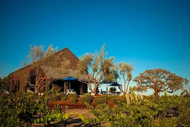 San Luis Obispo Wine Tour - Image 1