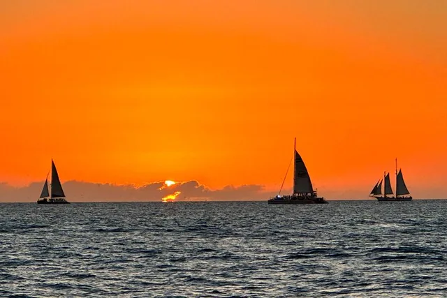 Panama City Dolphin and Sightseeing Tour - Image 6