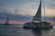 Panama City Beach Sunset Dolphin Catamaran Sail thumbnail 4