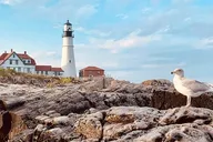 Portland Lighthouses and Craft Brewery Tour thumbnail 4