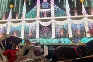 New York City Horse Carriage Ride with Christmas Lights thumbnail 1