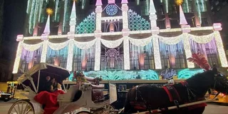 New York City Horse Carriage Ride with Christmas Lights