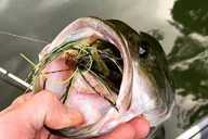 Asheville Kayak Fishing and Scenic Paddle Tour thumbnail 6
