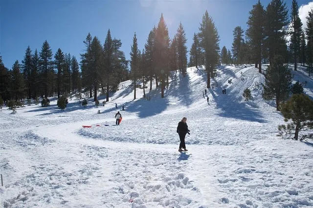 Las Vegas Mt. Charleston Snow Adventure - Image 2
