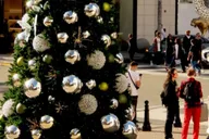 Los Angeles Holiday Lights Tour with LACMA Stop thumbnail 5