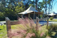 Panama City Shell Island Ferry thumbnail 6