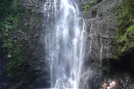 Maui Road to Hana Waterfalls Tour with Lunch thumbnail 5