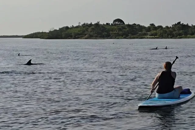 Edgewater Kayak Tour with Native Wildlife - Image 2
