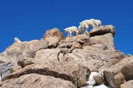 Denver Mount Blue Sky Summit and Glacial Lake Tour thumbnail 4