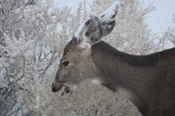 Canyonlands National Park Self-Guided Audio Tour thumbnail 6