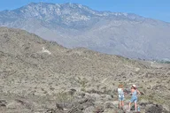 Palm Springs Oasis and Desert Views Hike thumbnail 2