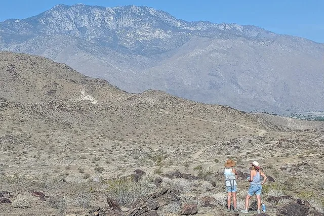 Palm Springs Oasis and Desert Views Hike - Image 2