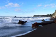 Olympic National Park Hoh Rain Forest and Rialto Beach Tour thumbnail 6