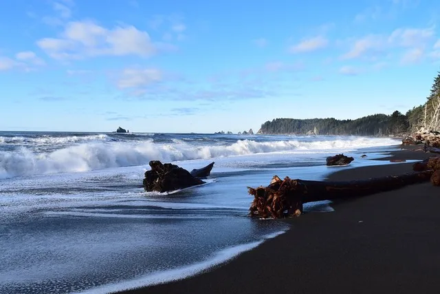 Olympic National Park Hoh Rain Forest and Rialto Beach Tour - Image 6
