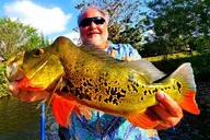 Miami Peacock Bass Fishing Trip thumbnail 6