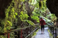 Hilo Volcano Tour from Oahu thumbnail 5